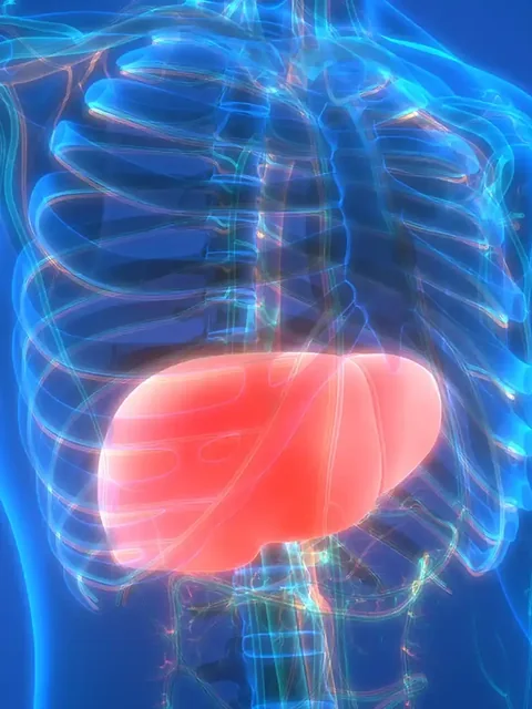 Liver Cancer cover