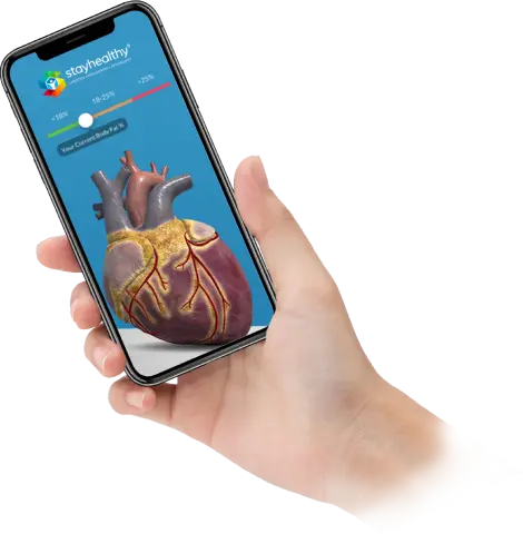 AR Organ Visualizer